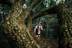 BIB: 
                            <button type="button" onclick="openModal(25393170)" class="btn btn-primary btn-sm float-right btn-popup" data-toggle="modal" data-target=".modal-high-quality">
                        <i class="fas fa-shopping-cart"></i> Add to Cart
                    </button>
                                            <button type="button" onclick="isThisMe(25393170, true)" class="btn btn-success btn-sm float-right btn-popup btn-isme hidden" data-toggle="tooltip" data-placement="bottom" title="นี่คือรูปของคุณใช่ไหม คลิกที่นี่เพื่อเอาเข้าอัลบั้ม">
                        <i class="fas fa-plus"></i> Add to album
                    </button>
                    <button type="button" onclick="isThisMe(25393170, false)" class="btn btn-warning btn-sm float-right btn-popup btn-isnotme hidden">
                        <i class="fas fa-ban"></i> Remove from album
                    </button>